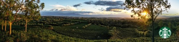 Director Global Farmer Support Centers, 1. image